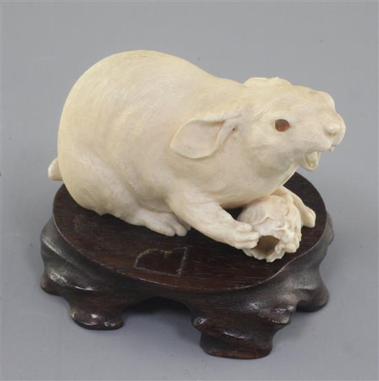 A good Japanese ivory okimono of a hare, Meiji period, length 8.5cm excl. wood stand